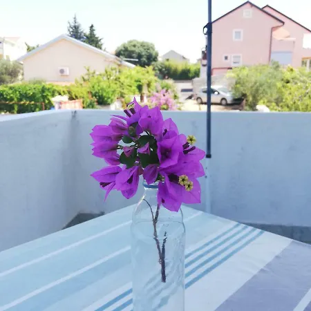 Kovacic * مورتير