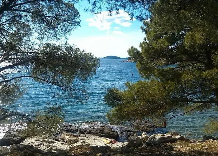 Kovacic شقة مورتير