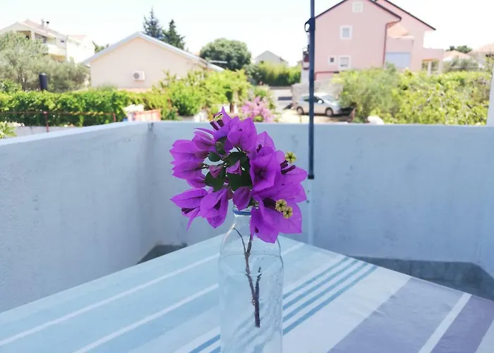 Kovacic * مورتير